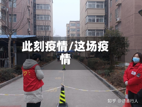 此刻疫情/这场疫情-第2张图片