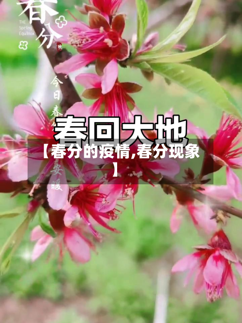 【春分的疫情,春分现象】