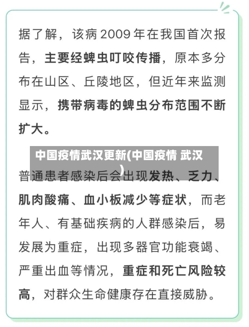 中国疫情武汉更新(中国疫情 武汉)-第3张图片