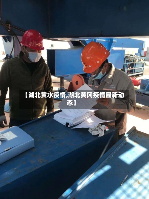 【湖北黄水疫情,湖北黄冈疫情最新动态】-第2张图片