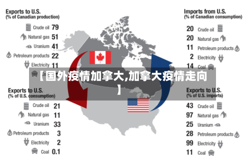【国外疫情加拿大,加拿大疫情走向】-第2张图片