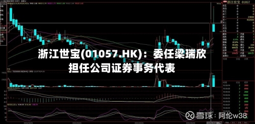 浙江世宝(01057.HK):委任梁瑞欣担任公司证券事务代表-第2张图片
