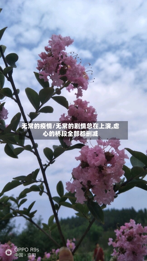 无常的疫情/无常的剧情总在上演,虐心的桥段全部都删减-第3张图片