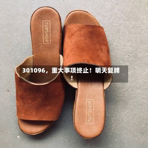 301096	，重大事项终止！明天复牌！-第2张图片