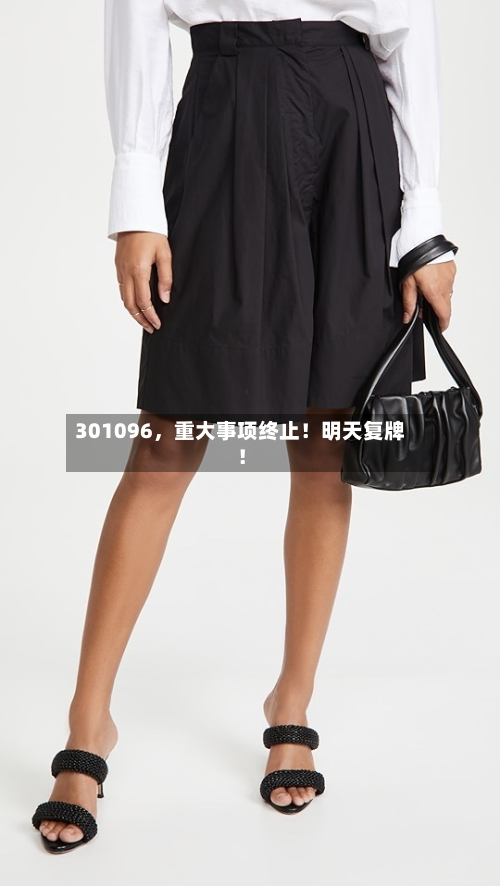 301096	，重大事项终止！明天复牌！-第3张图片