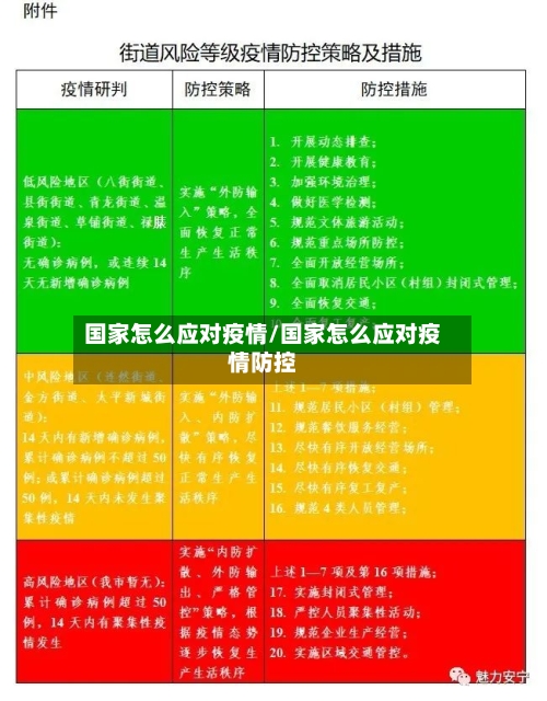 国家怎么应对疫情/国家怎么应对疫情防控-第2张图片