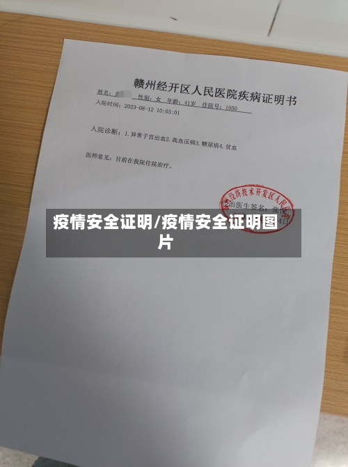 疫情安全证明/疫情安全证明图片