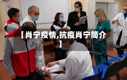【肖宁疫情,抗疫肖宁简介】-第2张图片