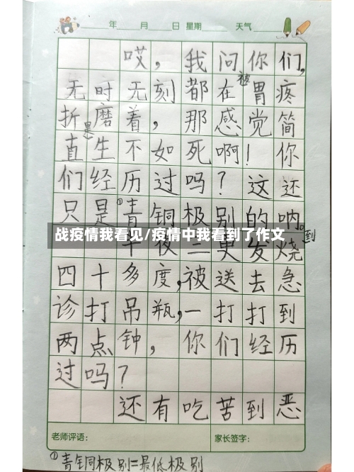 战疫情我看见/疫情中我看到了作文-第2张图片