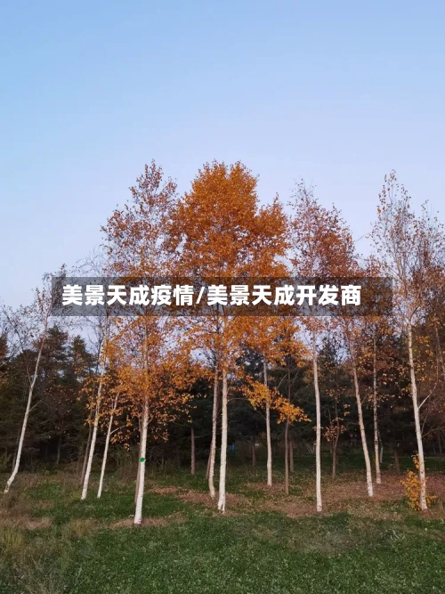 美景天成疫情/美景天成开发商-第2张图片