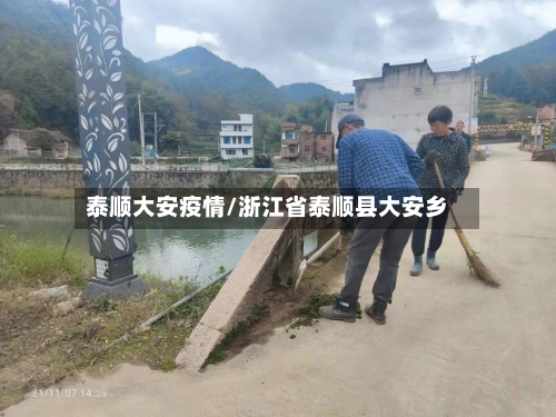 泰顺大安疫情/浙江省泰顺县大安乡-第3张图片