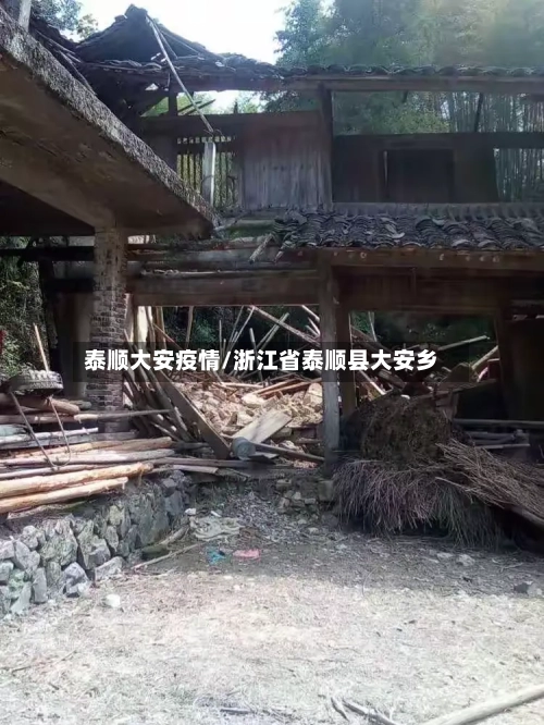 泰顺大安疫情/浙江省泰顺县大安乡-第2张图片