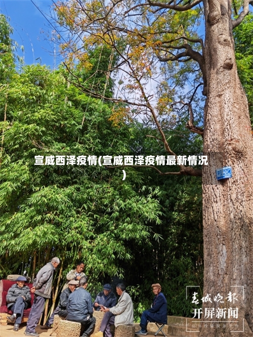 宣威西泽疫情(宣威西泽疫情最新情况)