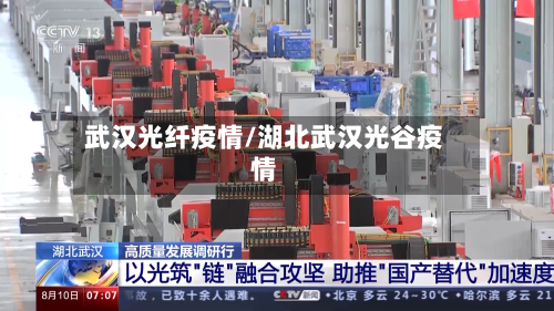 武汉光纤疫情/湖北武汉光谷疫情