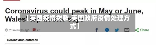 【英国疫情拨款,英国政府疫情处理方式】