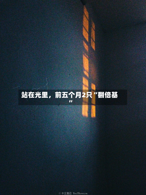 站在光里，前五个月2只“翻倍基”-第2张图片