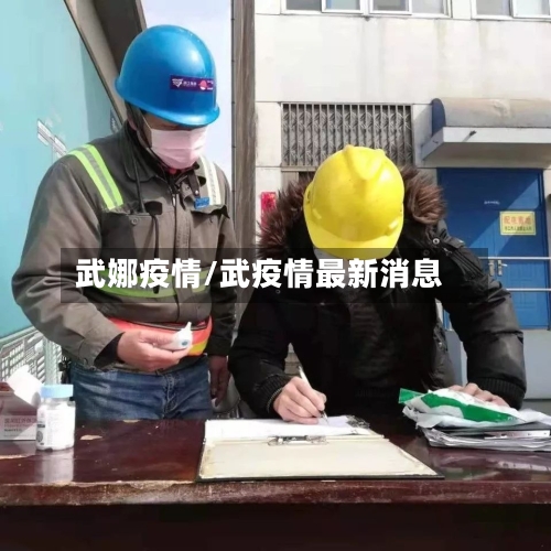 武娜疫情/武疫情最新消息-第2张图片